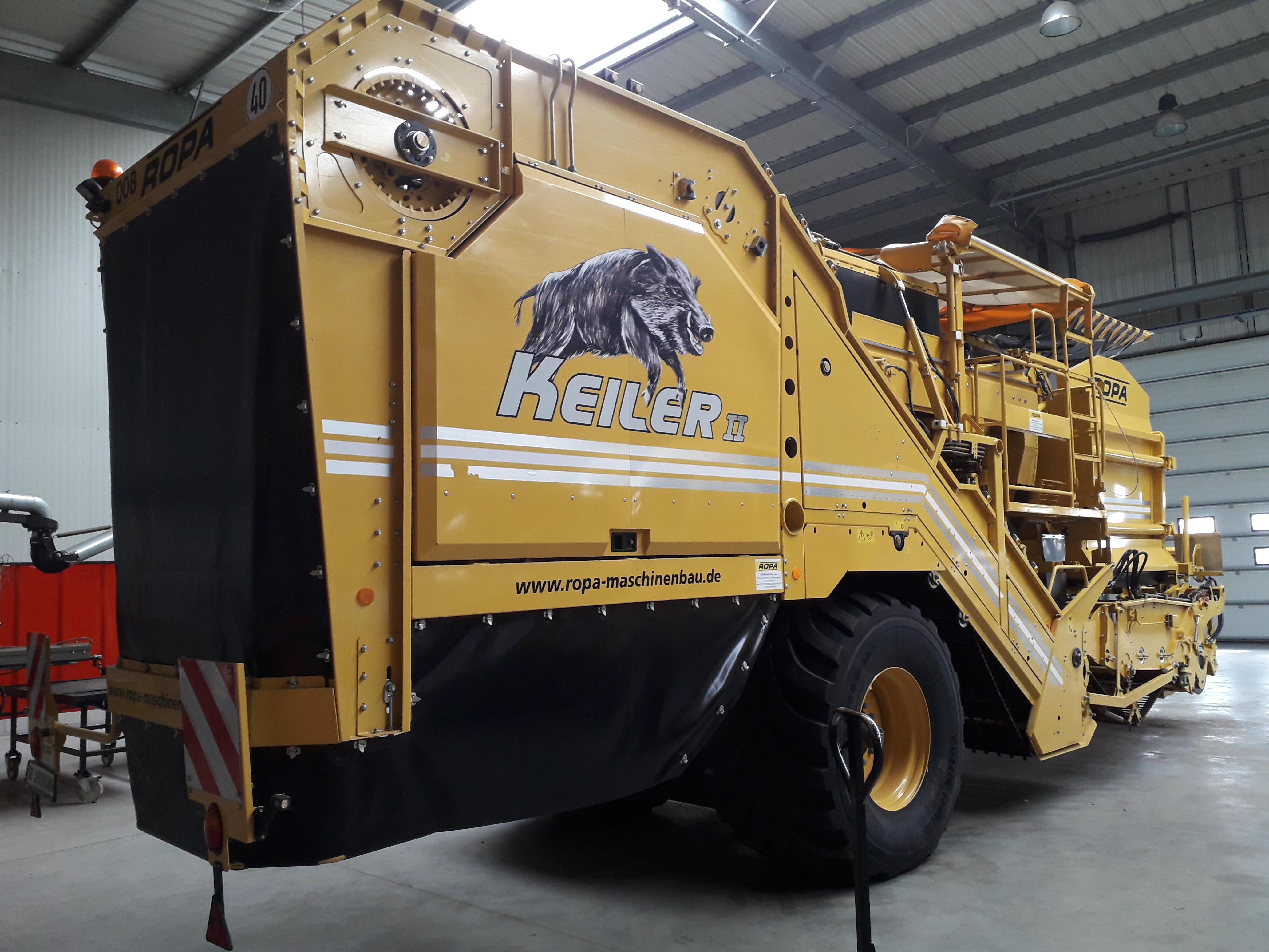 Kombajn do ziemniaków ROPA, rok prod.2015, klient z woj.wielkopolskiego